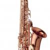 ALTO SAX - PINK GOLD PLATED BRONZE