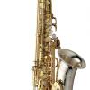 ALTO SAX - SOLID SILVER NECK & BELL - BRASS BODY & BOW